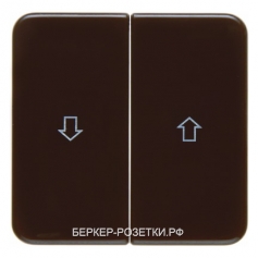 Berker Клавиши с оттиском Стрелка цвет: коричневый, с блеском Влагозащищенный скрытый монтаж IP44