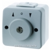 Berker Жалюзийная замочная кнопка с замком и надписью цвет: светло-серый/серый Aquatec IP44