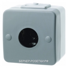 Berker Нажимная кнопка и световой сигнал Е10 цвет: светло-серый/серый Aquatec IP44