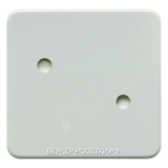 Berker Прикручивающаяся клавиша цвет: белый, с блеском Влагозащищенный скрытый монтаж IP44
