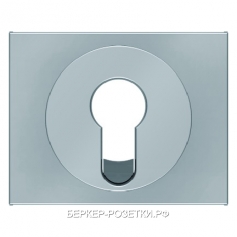 Berker Центральная панель для замочных выключателей/кнопок цвет: стальной, лак Berker K.5