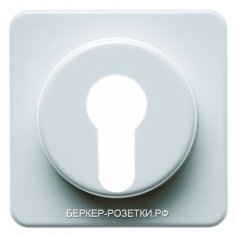 Berker Центральная панель для замочных выключателей/кнопок цвет: полярная белезна, с блеском Влагоза