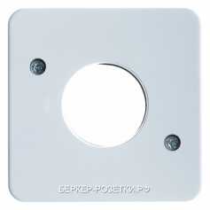 Berker Центральная панель для нажимной кнопки и светового сигнала Е10 цвет: полярная белезна, с блес
