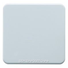 Berker Клавиша цвет: полярная белезна, с блеском Влагозащищенный скрытый монтаж IP44