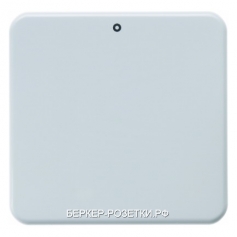 Berker Клавиша с надписью "0" цвет: полярная белезна, с блеском Влагозащищенный скрытый монтаж IP44