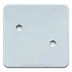 Berker Прикручивающаяся клавиша цвет: полярная белезна, с блеском Влагозащищенный скрытый монтаж IP4