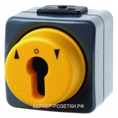Berker Жалюзийная замочная кнопка для профильных полуцилиндров цвет: темно-серый/желтый ISO-Panzer I