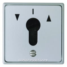 Berker Жалюзийная замочная кнопка для скрытого монтажа для профильных полуцилиндров  Водозащита IP44