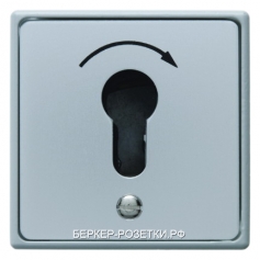 Berker Кнопка под ключ для профильных полуцилиндров скрытого монтажа  Водозащита IP44