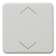 Berker Радиокнопка RolloTec, плоская цвет: белый, с блеском Modul 2