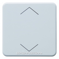 Berker Радиокнопка RolloTec, плоская цвет: полярная белезна, с блеском Modul 2