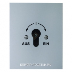 Berker Замочный выключатель для скрытого монтажа для профильных полуцилиндров  Водозащита IP44