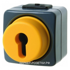 Berker Замочный выключатель для профильных полуцилиндров цвет: темно-серый/желтый ISO-Panzer IP44
