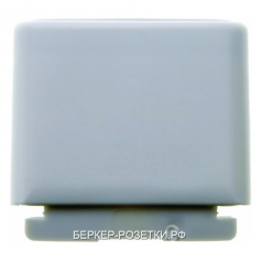 Berker Ввод канала для 1 провода цвет: светло-серый Aquatec IP44