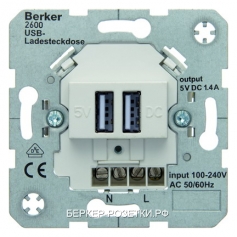 Berker USB-розетка для подзарядки 230 V цвет: полярная белезна