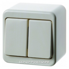 Berker Двухклавишный выключатель цвет: белый, с блеском Наружный монтаж