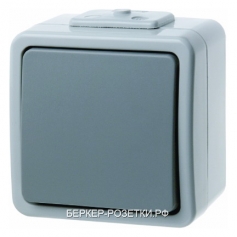Berker Одноклавишный выключатель цвет: светло-серый/серый Aquatec IP44
