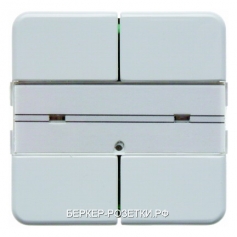 Berker Клавишный сенсор с полем для надписей, 2-канальный цвет: полярная белезна, с блеском Modul 2