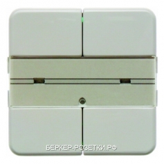 Berker Клавишный сенсор с полем для надписей, 2-канальный цвет: белый, с блеском Modul 2
