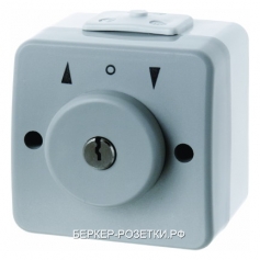 Berker Жалюзийная замочная кнопка с замком и надписью цвет: светло-серый/серый Aquatec IP44
