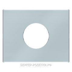 Berker Центральная панель для нажимной кнопки и светового сигнала Е10 цвет: стальной, лак Berker K.5